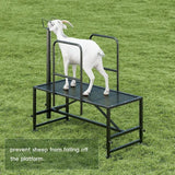 Sheep Milking Rack Adjustable Height Wool Trimming Fixation Metal Racks Sturdy and Durable Goat Trimming Farm Animal Supplies