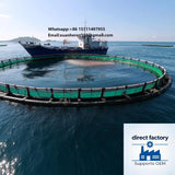 High Strength & Durable HDPE Net Cage Aquaculture Trap for Seawater Tilapia Fish Farming and Fishing