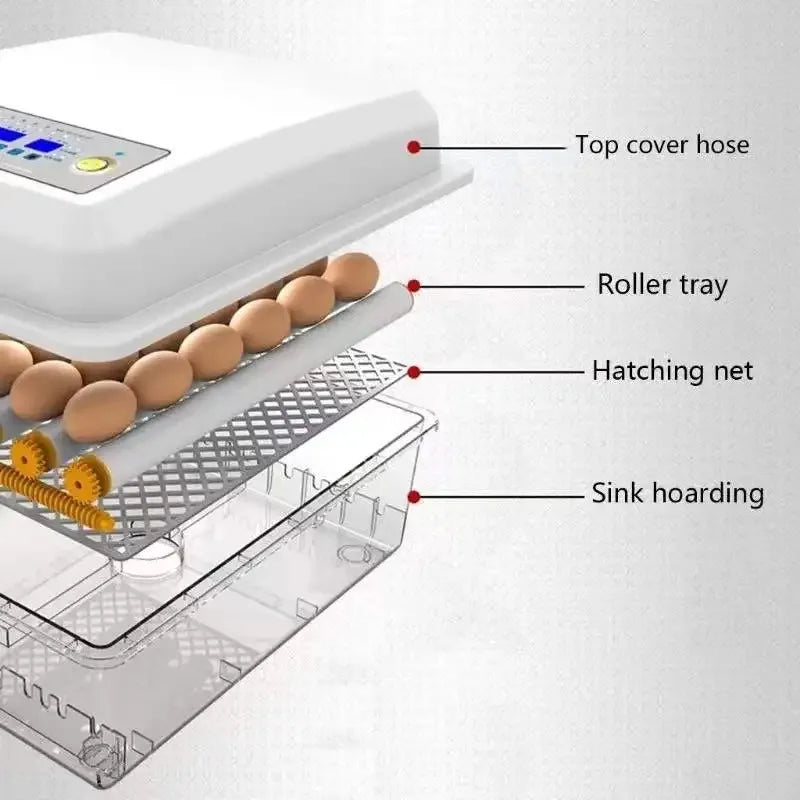 36 Small Egg Incubators for Hatching with Automatic Turning and Humidity Control