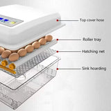 36 Small Egg Incubators for Hatching with Automatic Turning and Humidity Control