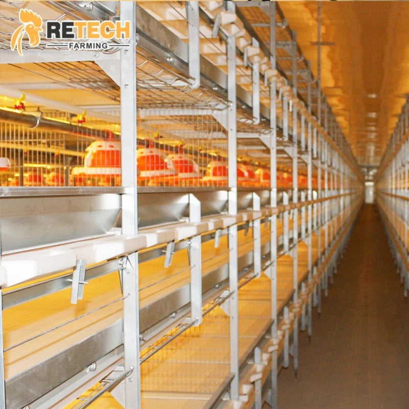 High Quality Automatic H Type 4 Tiers Broiler Chicken Cages Poultry Farm