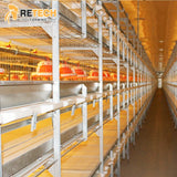 High Quality Automatic H Type 4 Tiers Broiler Chicken Cages Poultry Farm