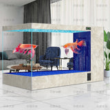 Filter fish tank living room large ecological water-free special fish tank for koi aquarium
