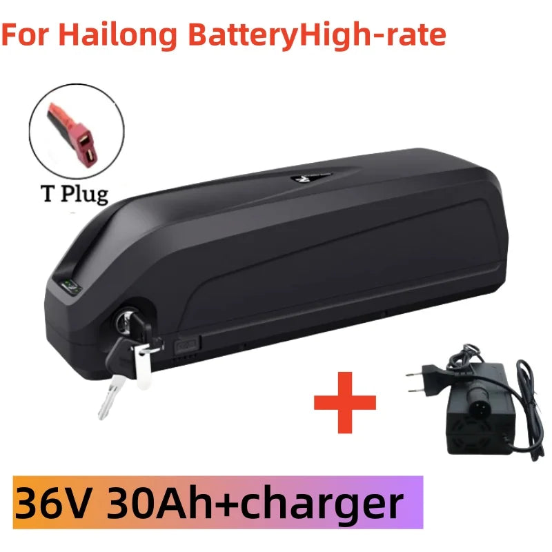 New 36V 48V Battery Hailong Battery Polyester DP-9, BMS 18650 Cell, Lithium-Ion 36V 48V Battery Pack Durable