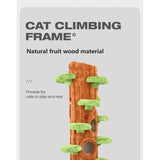 Large Cat Climbing Frame & Towering Tree/large Tree Jumping Platform/solid Wood Villa Tree Hole