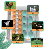36 Small Egg Incubators for Hatching with Automatic Turning and Humidity Control