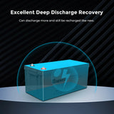 Renogy Deep Cycle AGM Battery 12 Volt 200Ah, 3% Self-Discharge Rate, 2000A Max Discharge Current, Safe Charge