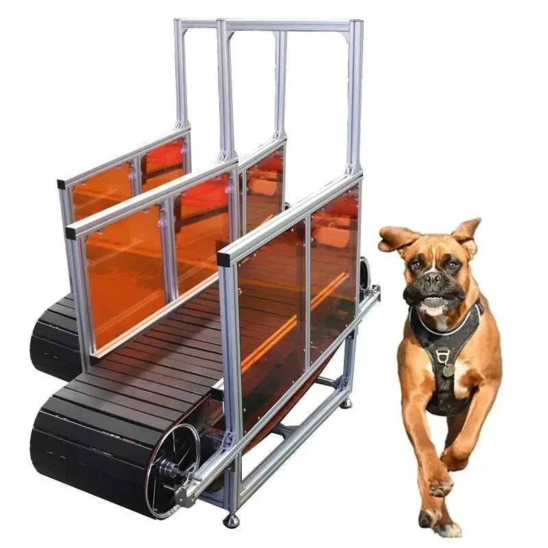 Dog Treadmill Machine in GYM Non-powered Pet Treadmill for Dog Training Slat Mill for Dogs Outdoor