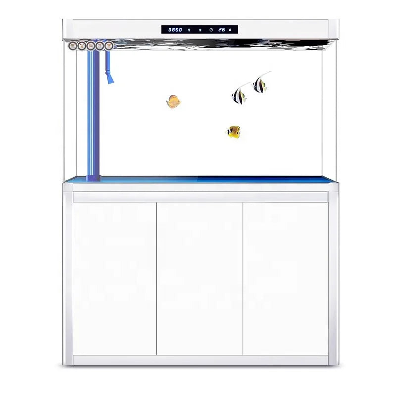 All-in-One AquariumCustomized Rectangle Fish Aquarium Tank Glass Aquarium Large Freshwater Aquarium Fish TanksFish TankSelf-Clea
