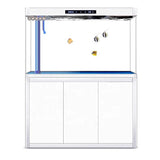 All-in-One AquariumCustomized Rectangle Fish Aquarium Tank Glass Aquarium Large Freshwater Aquarium Fish TanksFish TankSelf-Clea