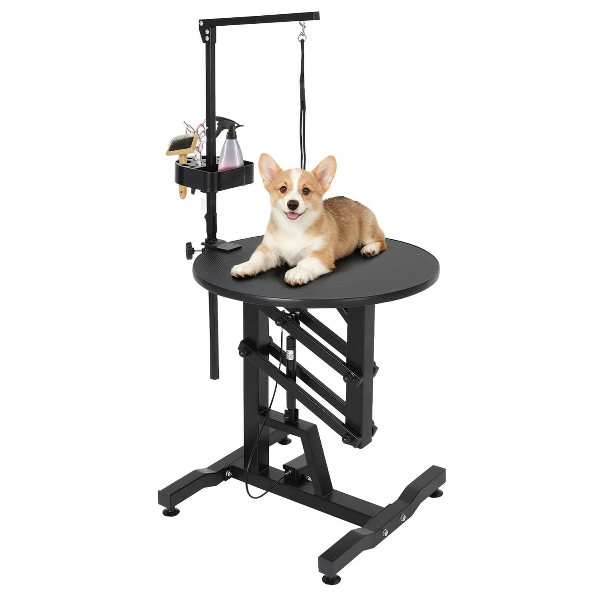 338d16c4-31b2-4fd8-88c6-5b312ec54df1
