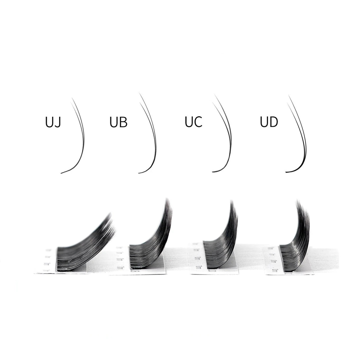 2c2fe13d-7874-4032-b765-d9e81f17dcc4