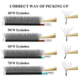 a5484f42-9b22-4e66-a681-e6cd90baa985